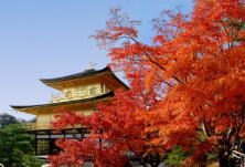 Kinkaku-ji Temple (Rokuon-ji)
